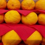 Kako povečati količino limoninega soka za 40 odstotkov: preprost trik, ki je prijazen do zamrzovalnika kako-povecati-kolicino-limoninega-soka-za-40-odstotkov-preprost-trik.jpg