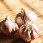 Zakaj česen kali v hladilniku: kako vlaga sproži nepovratne procese zakaj-cesen-kali-v-hladilniku-kako-vlaga-sprozi-nepovratne-procese.jpg